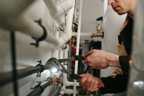 Best Commercial Plumbing Services  in Kincaid, IL