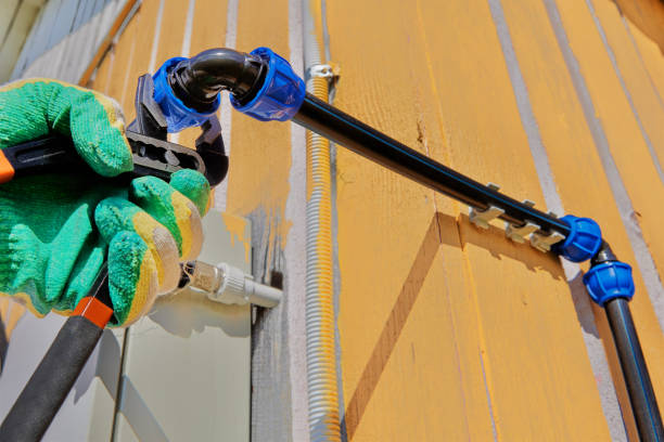 Best Local Plumber Services  in Kincaid, IL